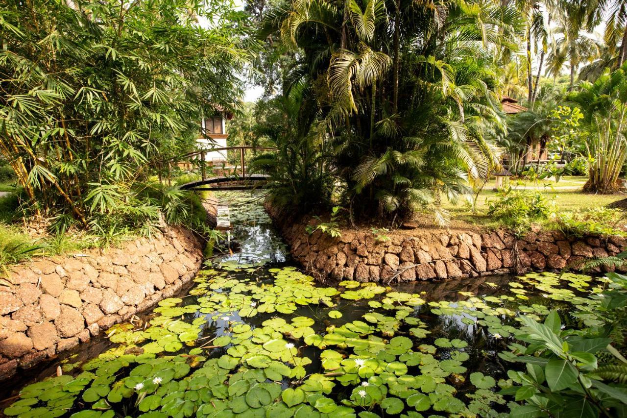โคโคนัท ครีก รีสอร์ท Mormugao ภายนอก รูปภาพ
